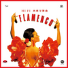 Flamenco - HiFi Spanish Dance  [Crystal Disc CD]